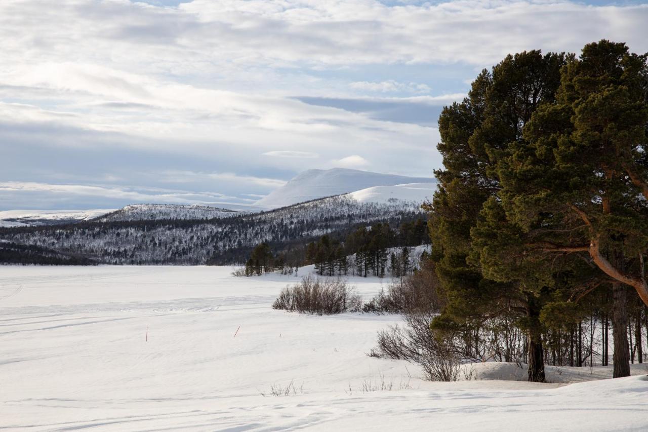 Skoganvarre Villmark ภายนอก รูปภาพ
